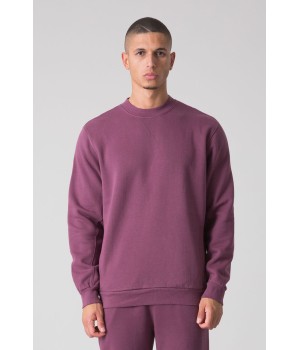 SUNFADED CREW NECK SWEATSHIRT