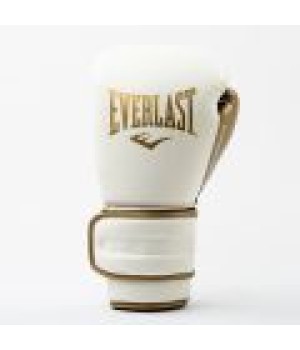 EVERLAST POWERLOCK 2R(FOUR-LAYER FOAM)TRAINING GLOVE - CHARCOAL